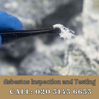 Comprehensive Asbestos Inspection and Testing Services in Kentish Town